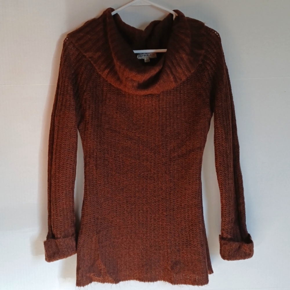 Poof Excellence  Color Brown Turtle Neck Sweater